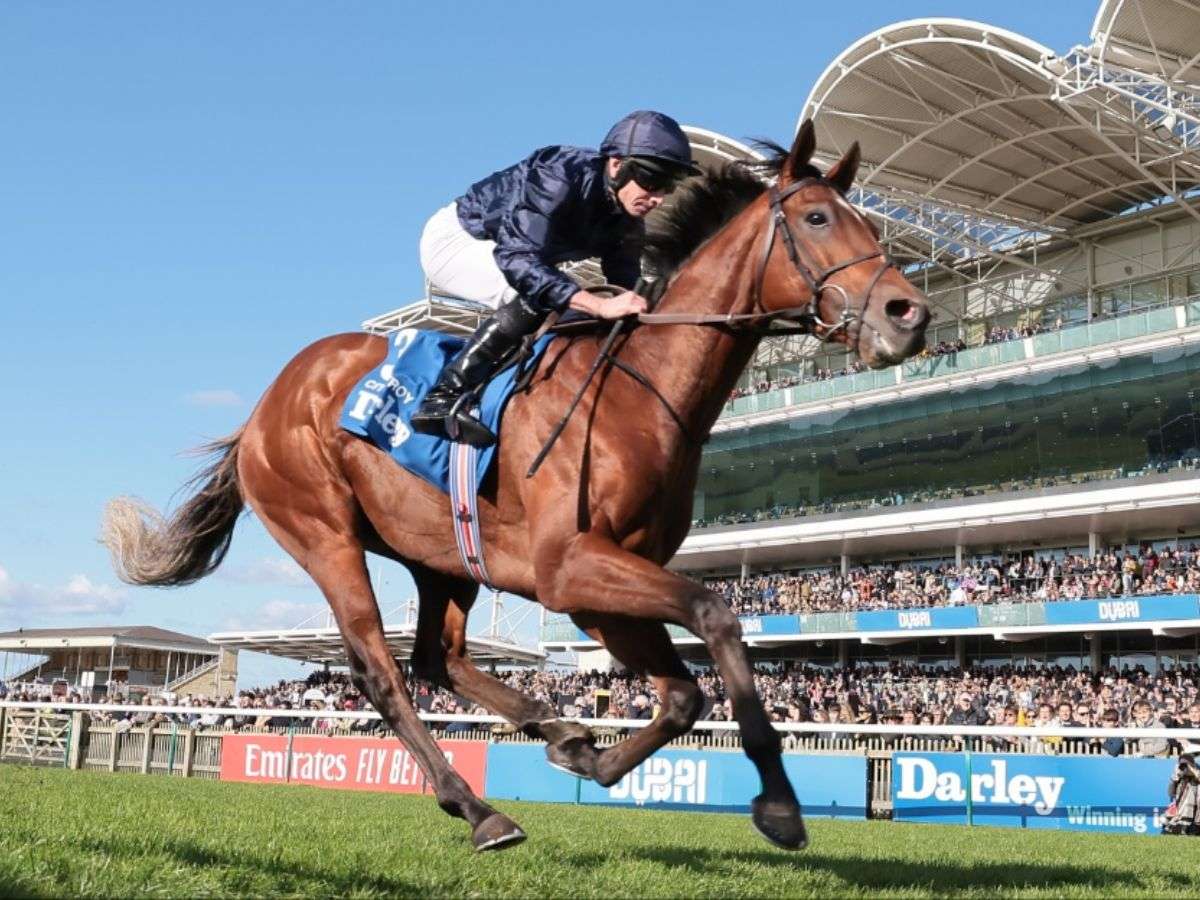 19 nominados van al King George VI en Royal Ascot