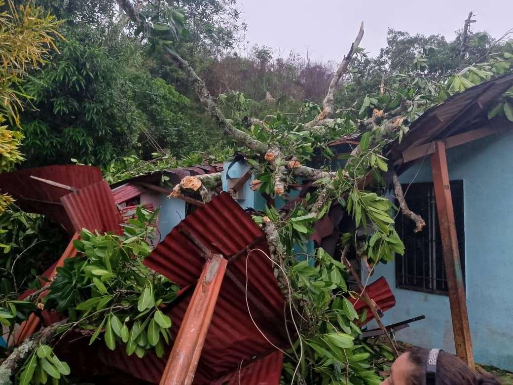 Las lluvias en Cojedes causaron deslave y caída de árboles