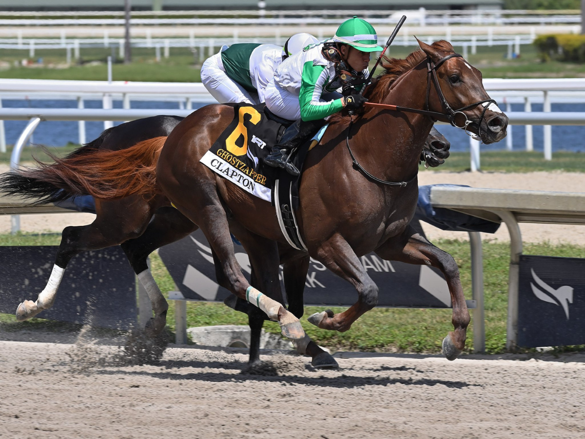 Fierceness estuvo exitoso en el Jim Dandy Stakes