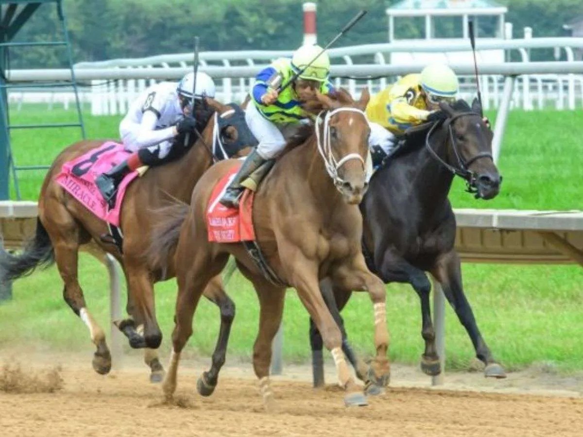 Keiber Coa domina el meeting de Finger Lakes