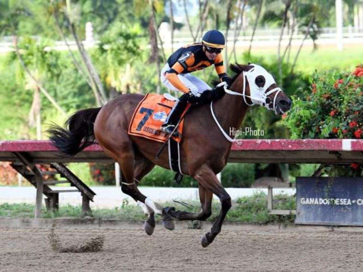Lastchanceglory muy exitoso - Líder en deportes