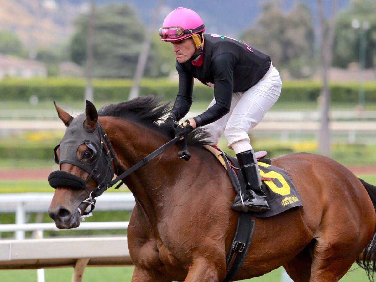 San Clemente Stake prueba reina en meeting Del Mar