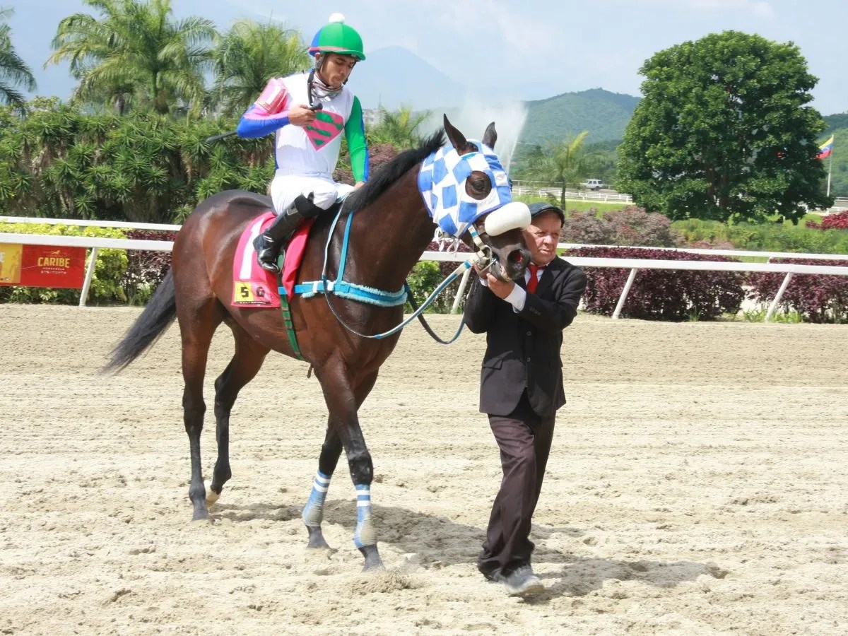 Copa Unión de Jinetes se correrá el sábado en Valencia