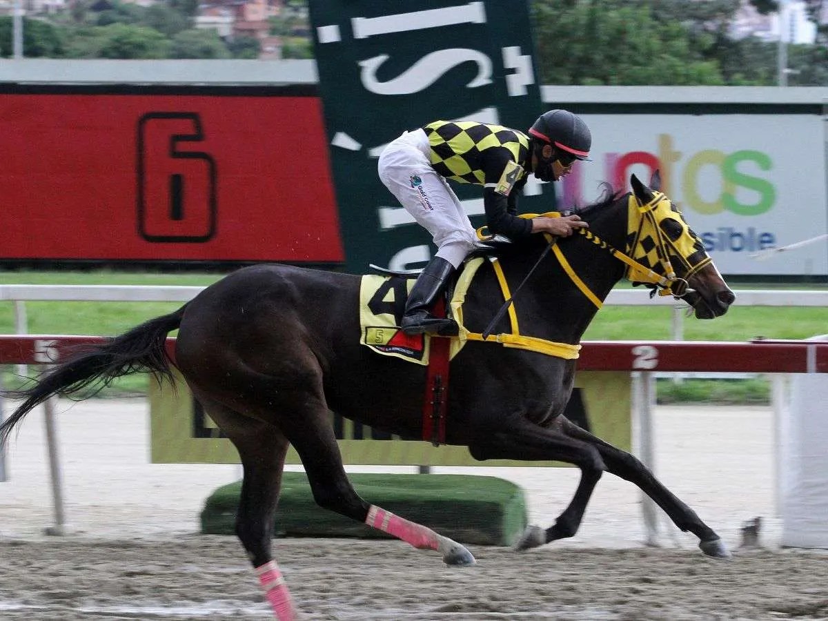 Tequila y Fast Sensations deciden el Armada