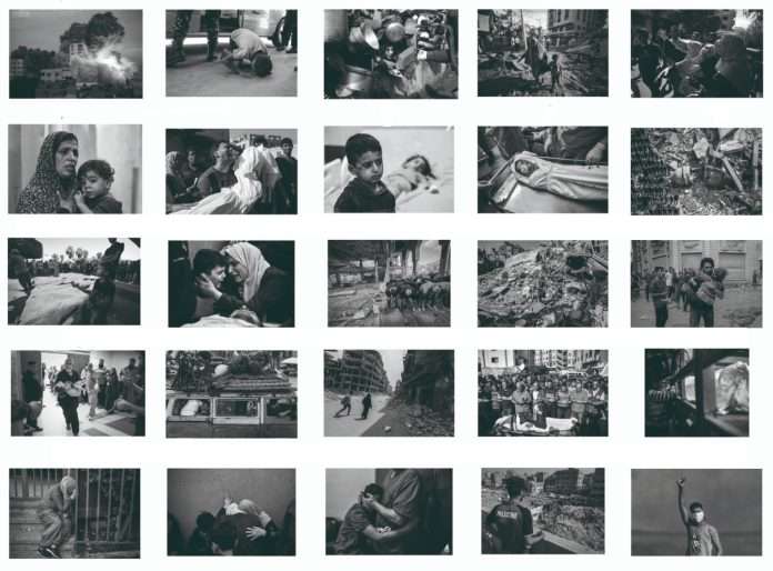 Siete fotógrafos de Gaza - Últimas Noticias