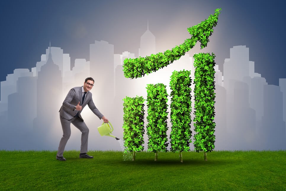 La importancia de la sostenibilidad y la responsabilidad social empresarial