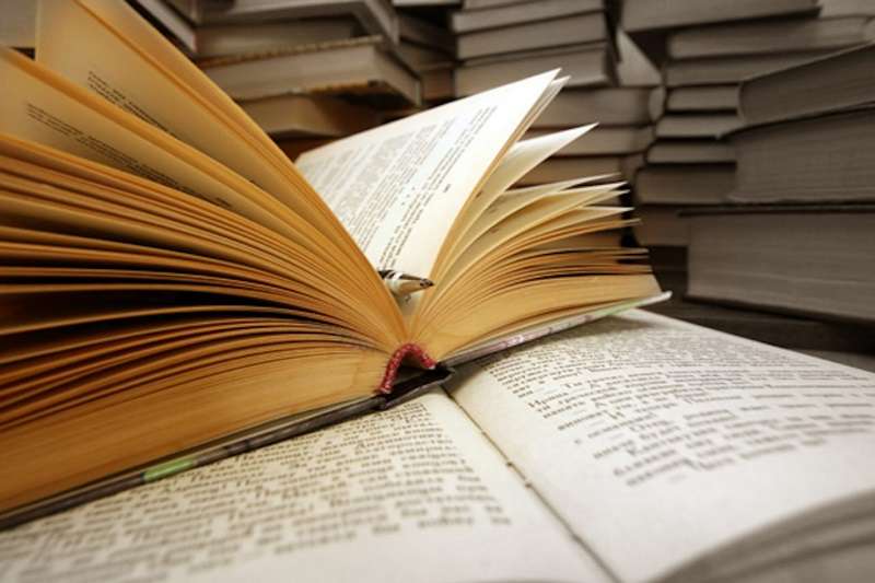 Festival Mundial de Poesía celebra su mayoría de edad