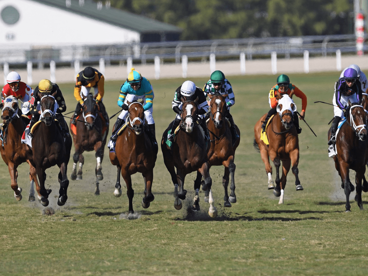 Elliot ganó su primer stakes