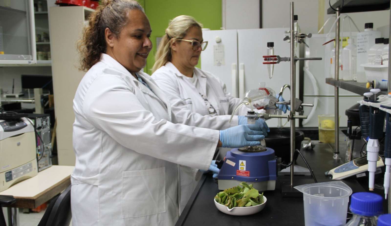 Plantean nuevas sustancias antimicrobianas contra infecciones