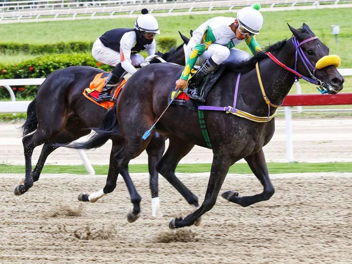 Investigan actuación de la favorita Lady Rossy