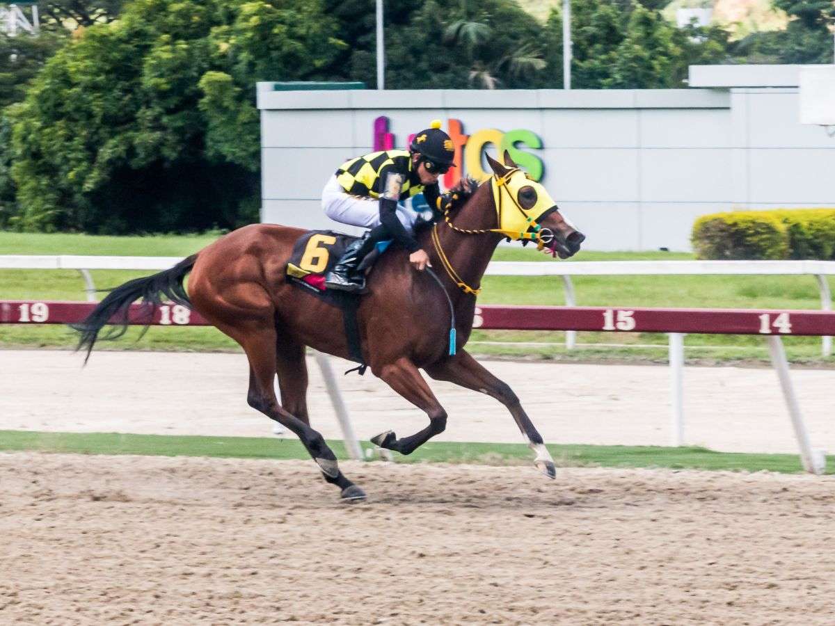 Miss Emmy nueva ganadora clásica