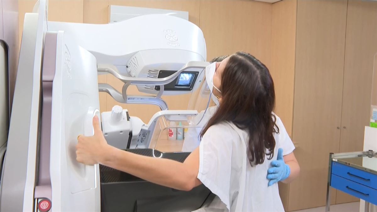 Los estrógenos disminuyen la capacidad del sistema inmunitario para combatir el cáncer