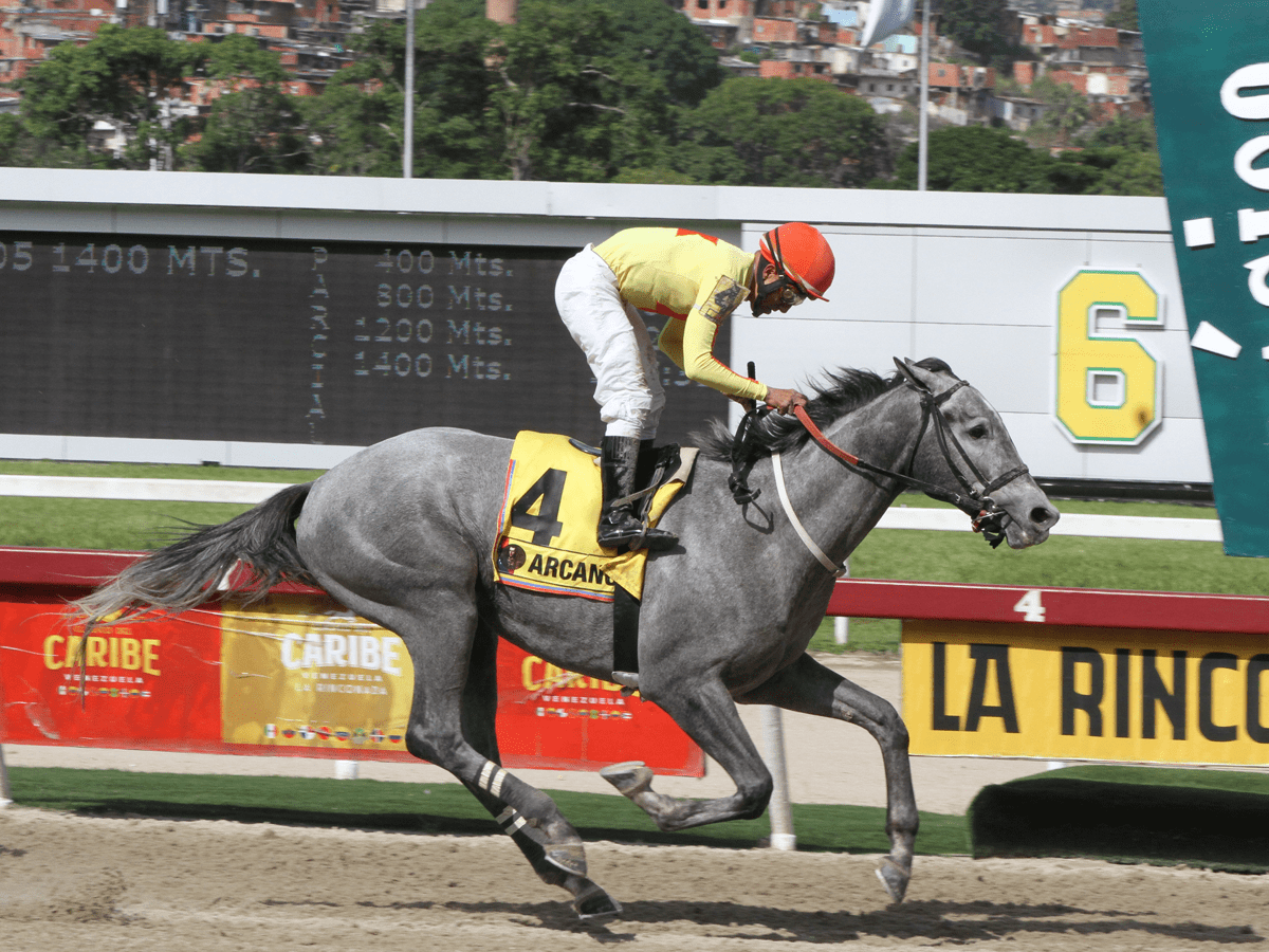 Vino Tinto y Arcano a duelo en la prueba de apertura