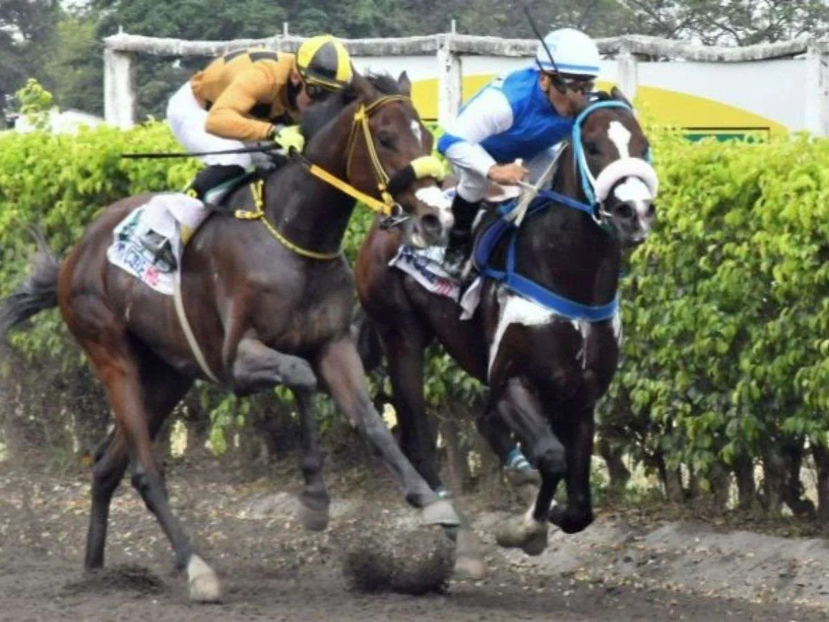 Albajat reinó en Ecuador - Líder en deportes