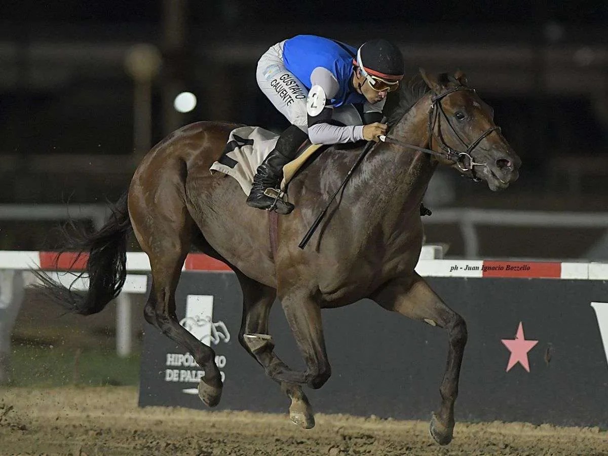 Debut de Tuco Salamanca genera gran expectativa