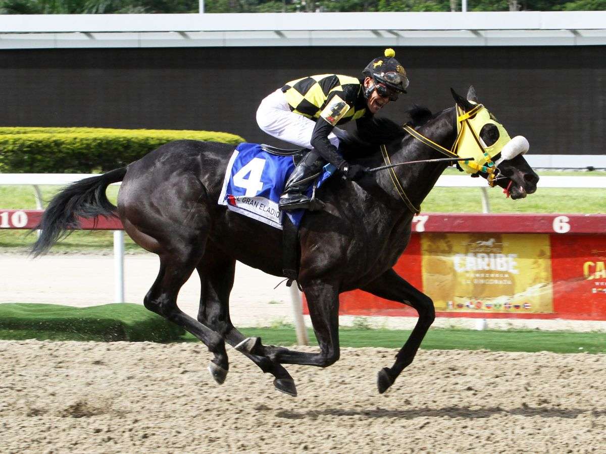 El Gran Eladio fue mejor en el Jockey Club