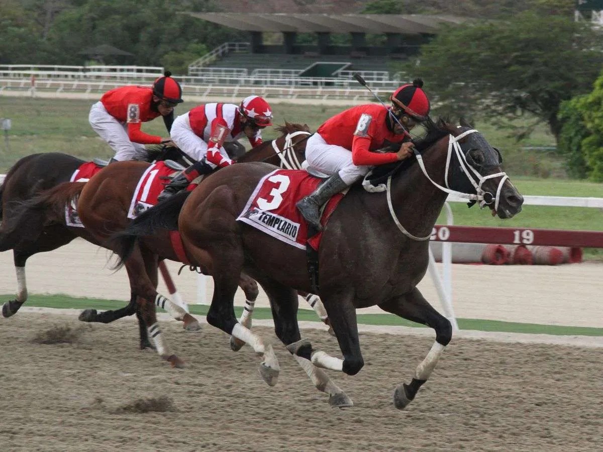 Templario y El De Froix a duplicar en el Jockey Club