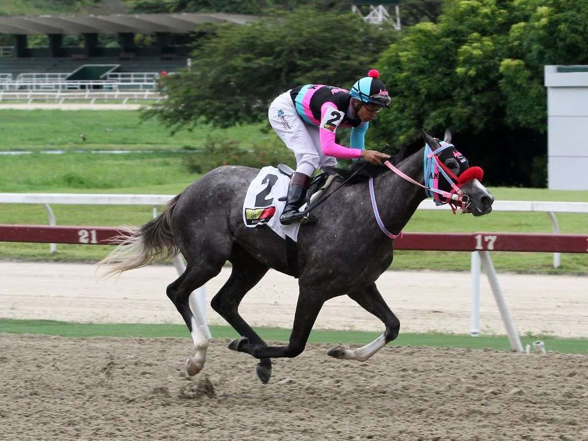 Winter Wonderland a repetir - Líder en deportes