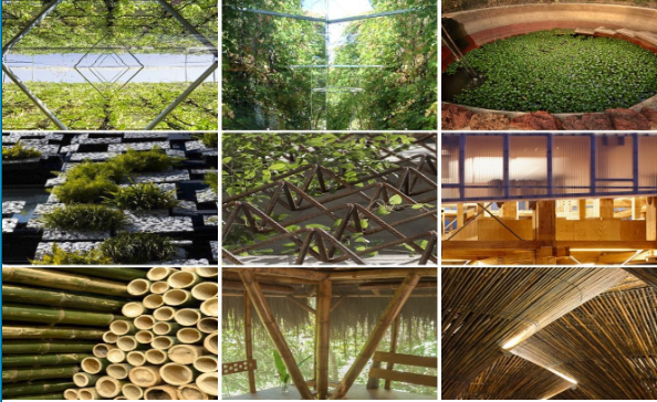 Venezuela Verde: Proyectos de Construcción Ecológica que Inspiran un Futuro Sostenible