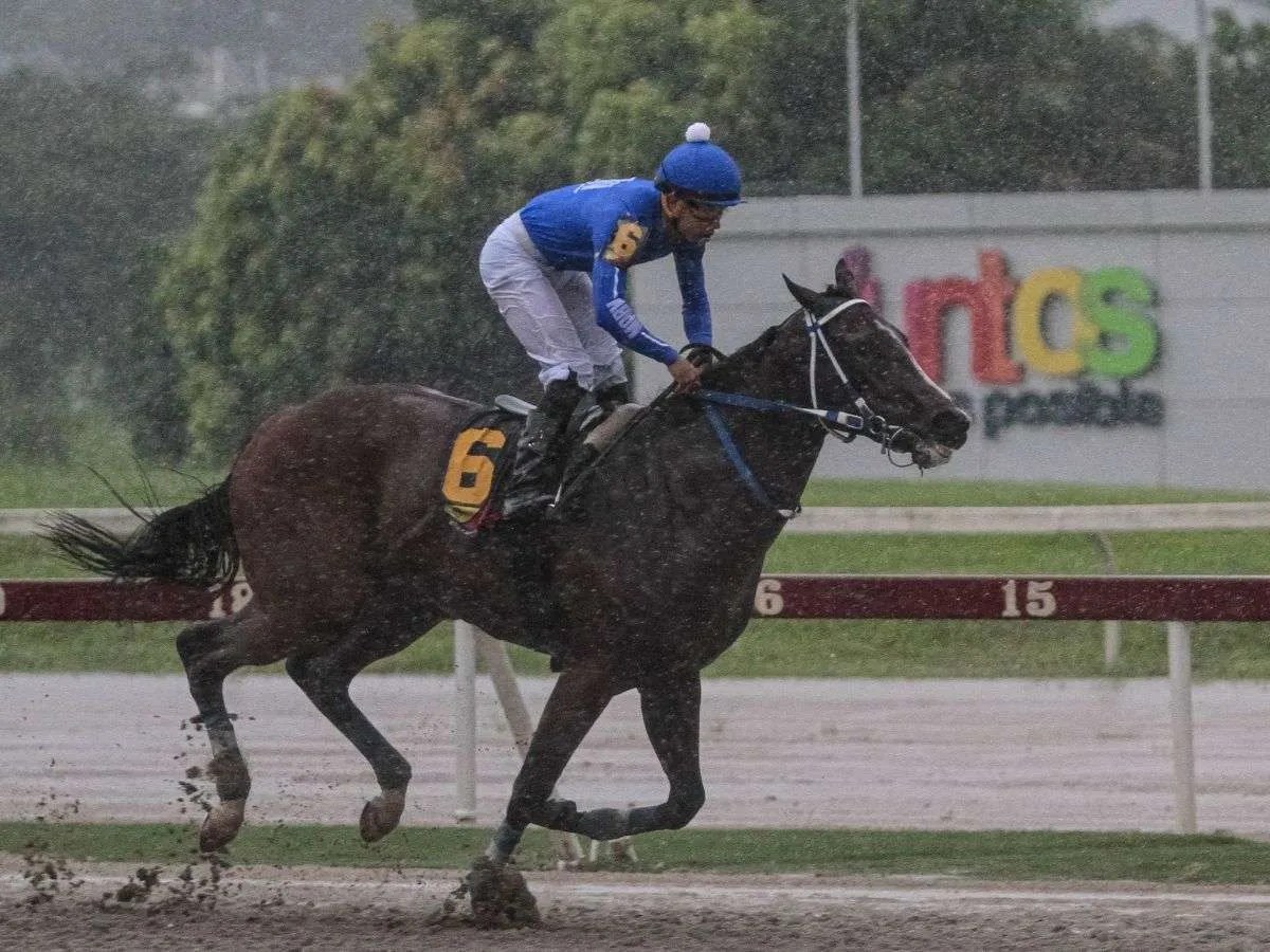 Bella del Nilo superior en Clásico Edgar Ganteaume