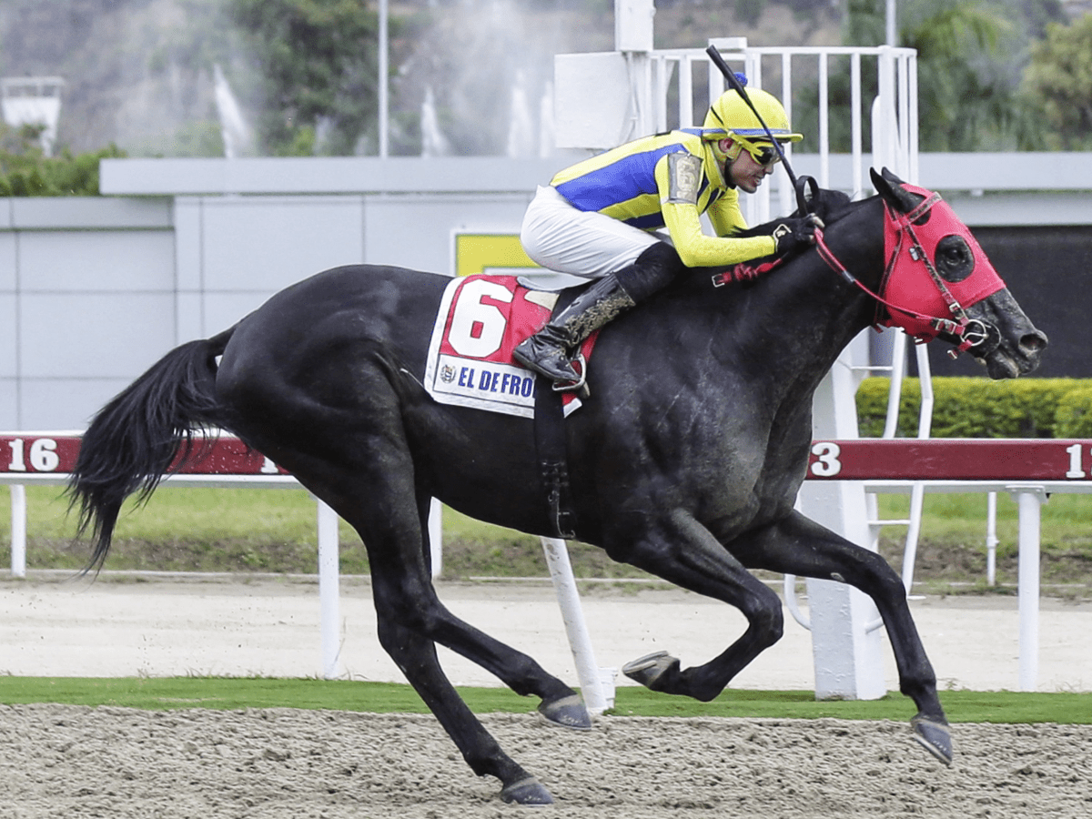 A la quinta vez logró la victoria