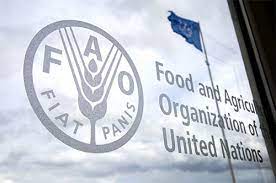Venezuela expone en la FAO logros alimentarios pese a las "sanciones"