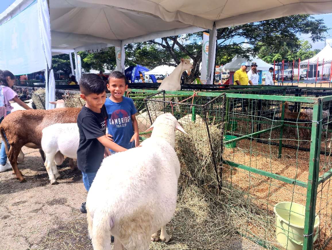 Valles del Tuy inaugura su primera Expoferia Caprina y Ovina