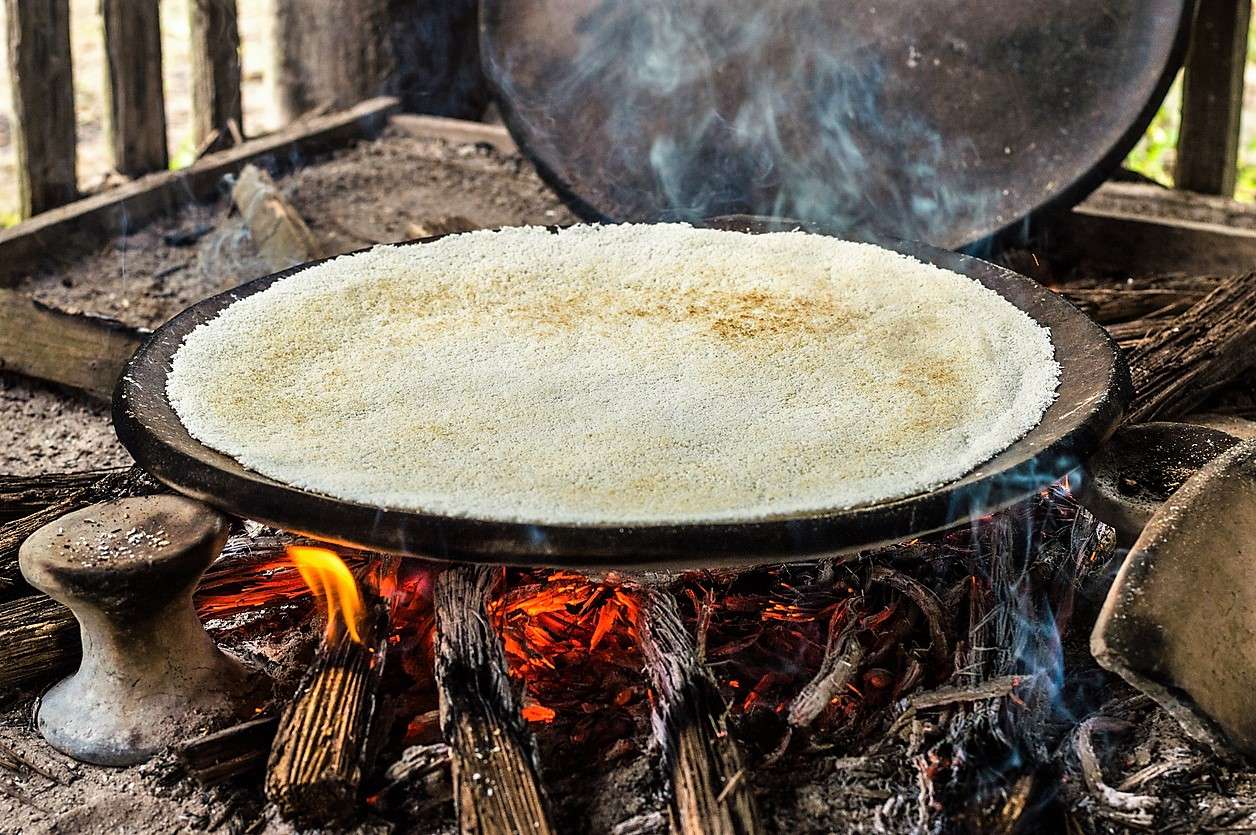 Cúpira es zona referente en la producción de casabe