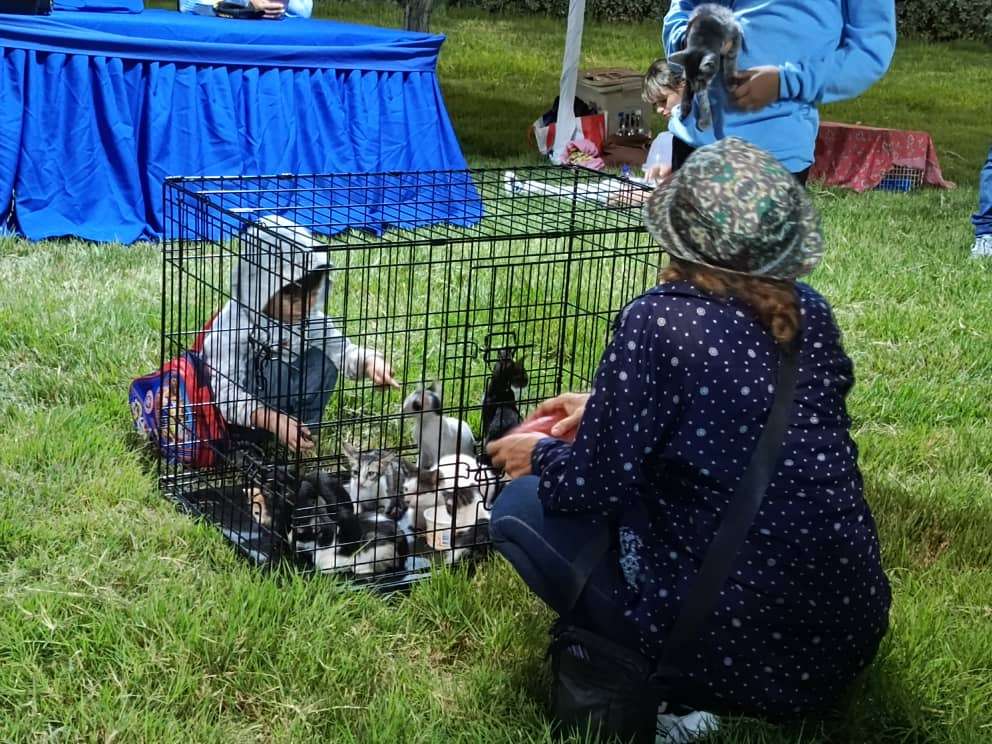 Una tarde de perros se vivió en el Parque Ana María Campos de Maracaibo 