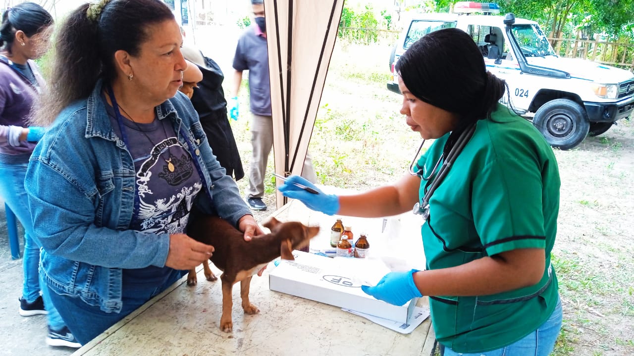 Misión Nevado realiza jornada de atención integral a los animalitos