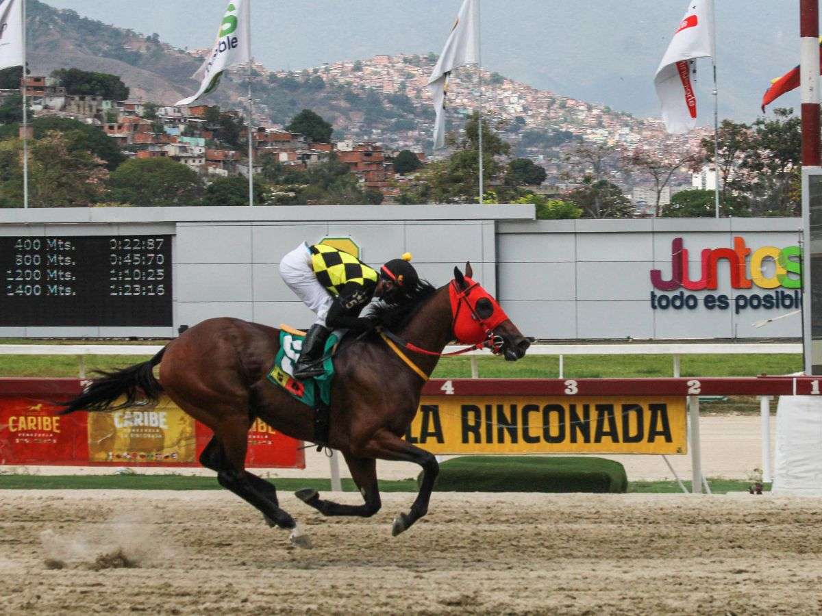 Ping Pong respondió en el Clásico Aly Khan