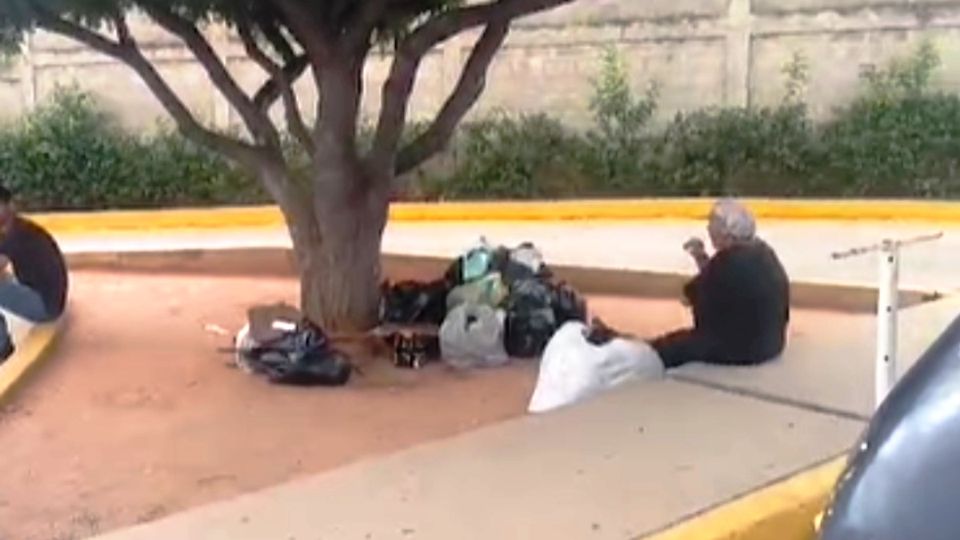 Mujer presuntamente se come los perros y gatos de la calle