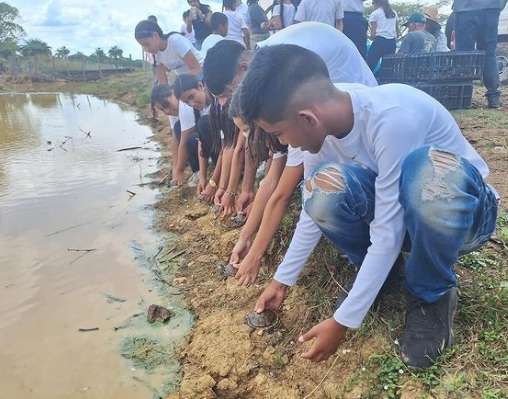 Liberan 336 ejemplares de Galapagos Llaneros en Guárico