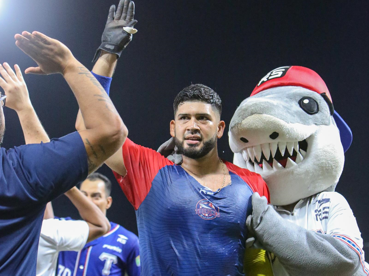 Tiburones dejó tendidos a los Tigres en Macuto
