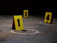 Asesinado en Petare concejal del Psuv