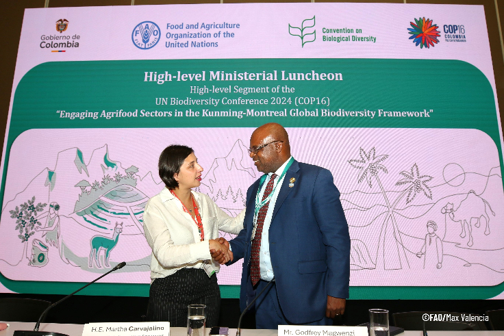 La FAO lanza iniciativa mundial para acelerar la integración de la biodiversidad en los sistemas agroalimentarios