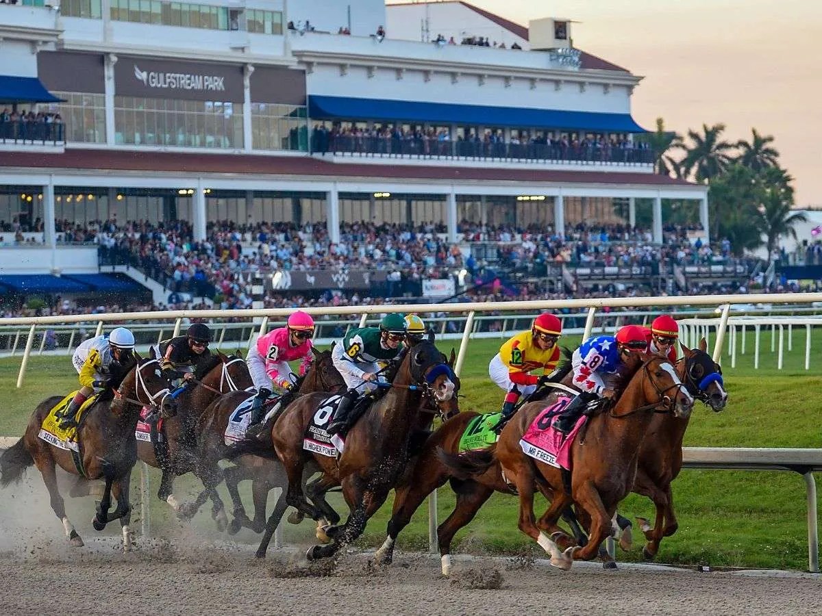 Mrs. Worldwide respondió en la mejor de Gulfstream