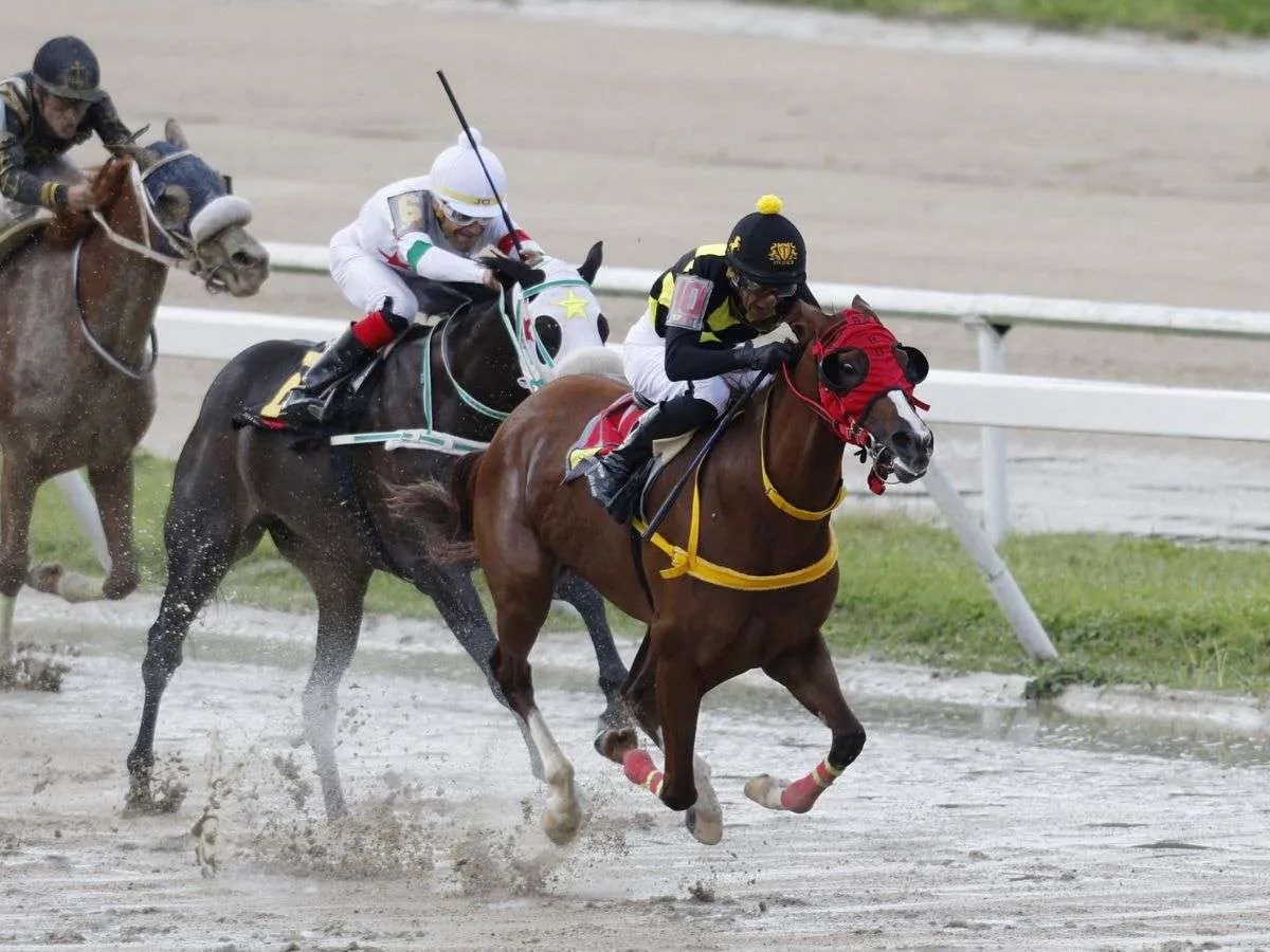 Resultadosde La Rinconada - Líder en deportes