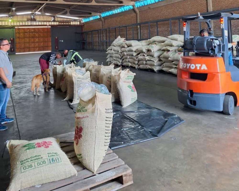 Impulsan 5 sectores económicos entre Mérida y Belarús