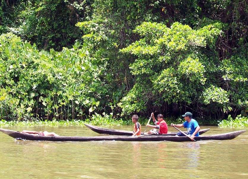 Una aventura en la selva deltana se vive en Abujene