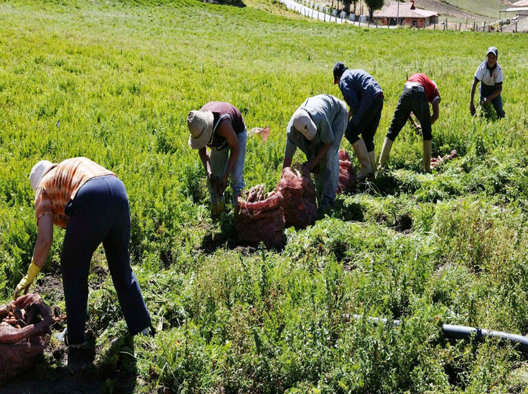Instan a actualizar registro único de campesinos