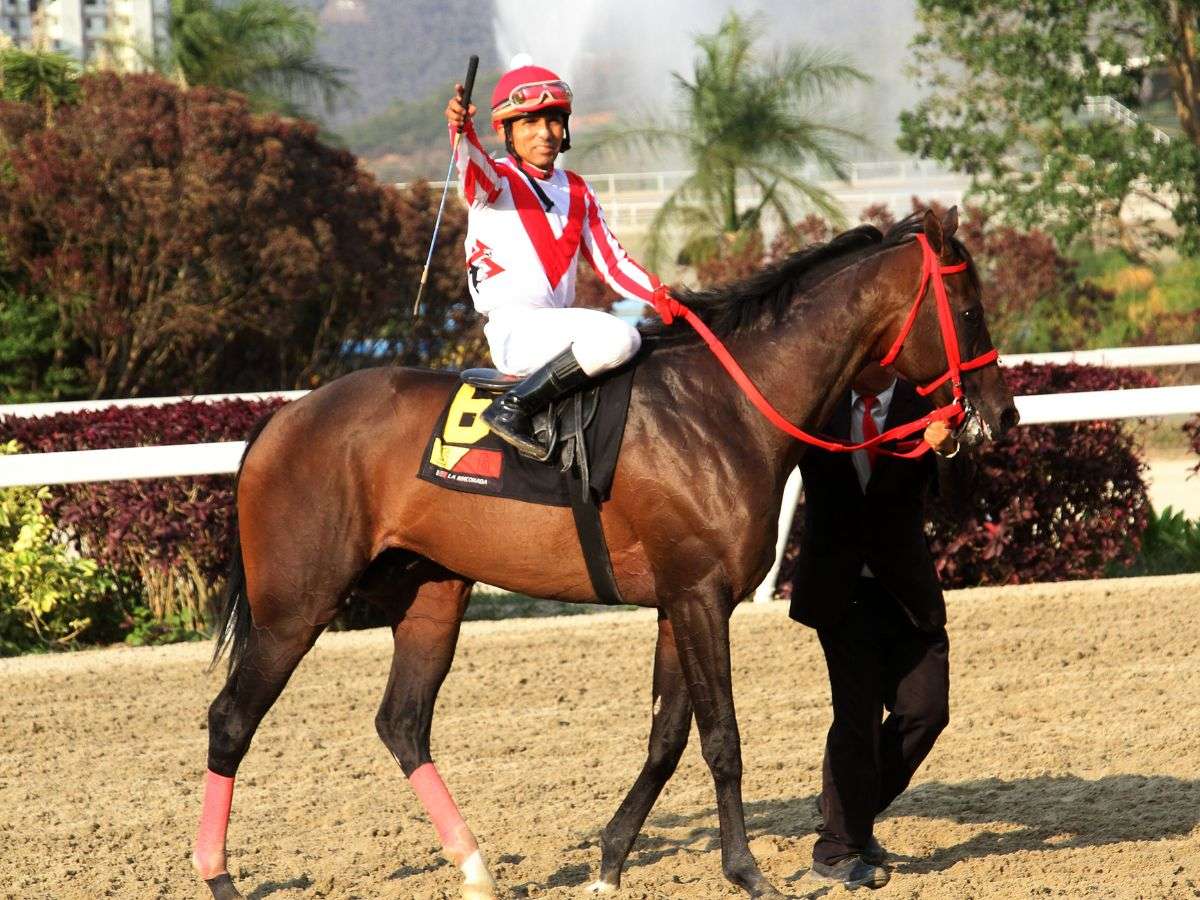 Colossus con John Velázquez ganó la Copa Luis Aparicio