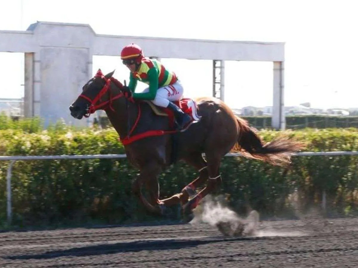 Niño del Sur se anotó la 2da Etapa