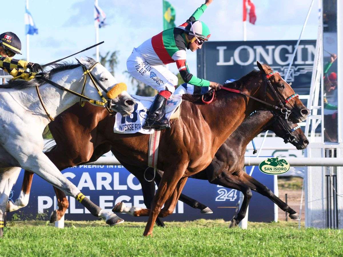 Argentino Intense For Me se adjudicó el Carlos Pellegrini