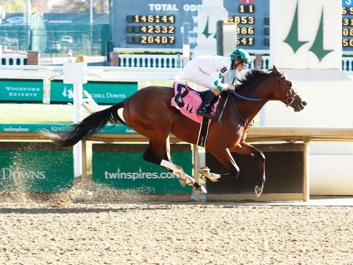 Mystik Dan se alista para reaparecer en California