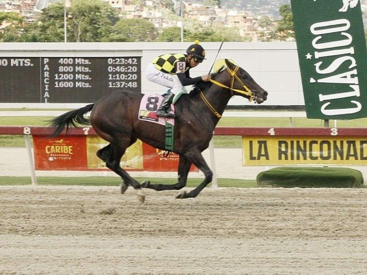 Niño Lorenzo galopó el Clásico del Caribe