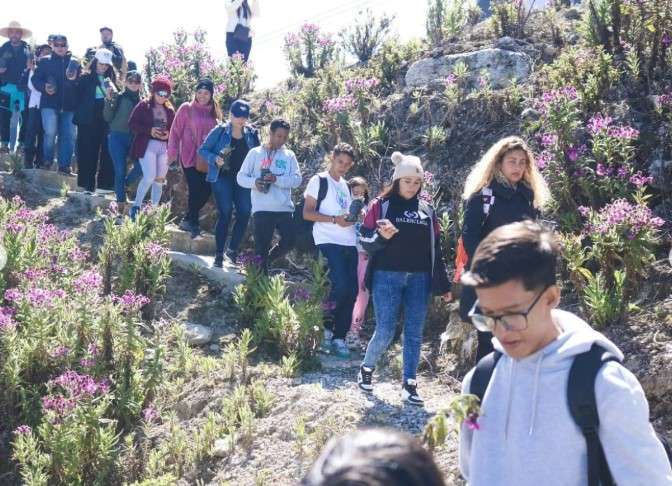Realizan restauración ecológica en el Parque Nacional Sierra Nevada