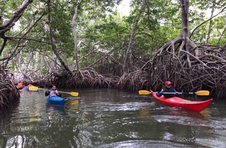 Una aventura en kayak le lleva a los senderos de Cuare