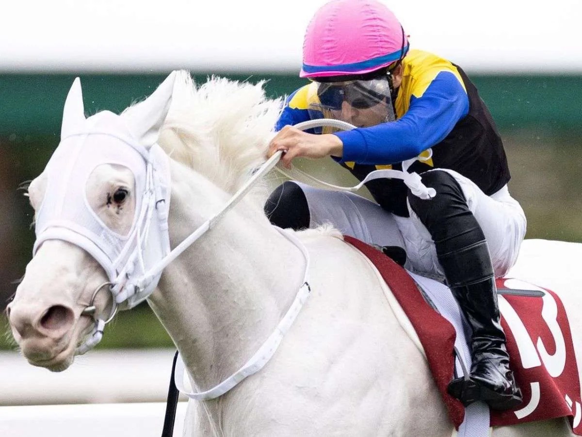 La campeona Sodashi fue preñada por el crack Equinox