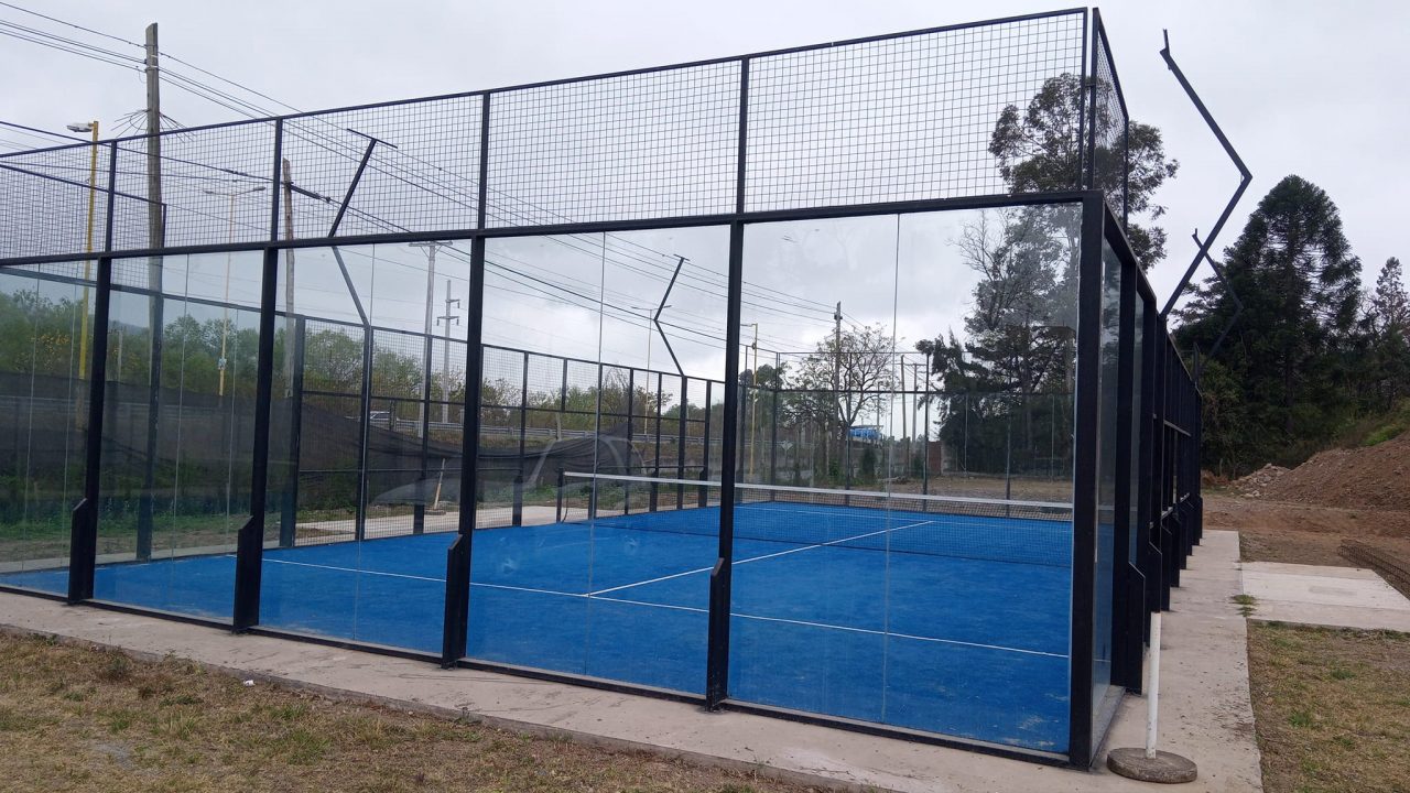 Accidentes de guacamayas por canchas de pádel encienden las alarmas en Baruta